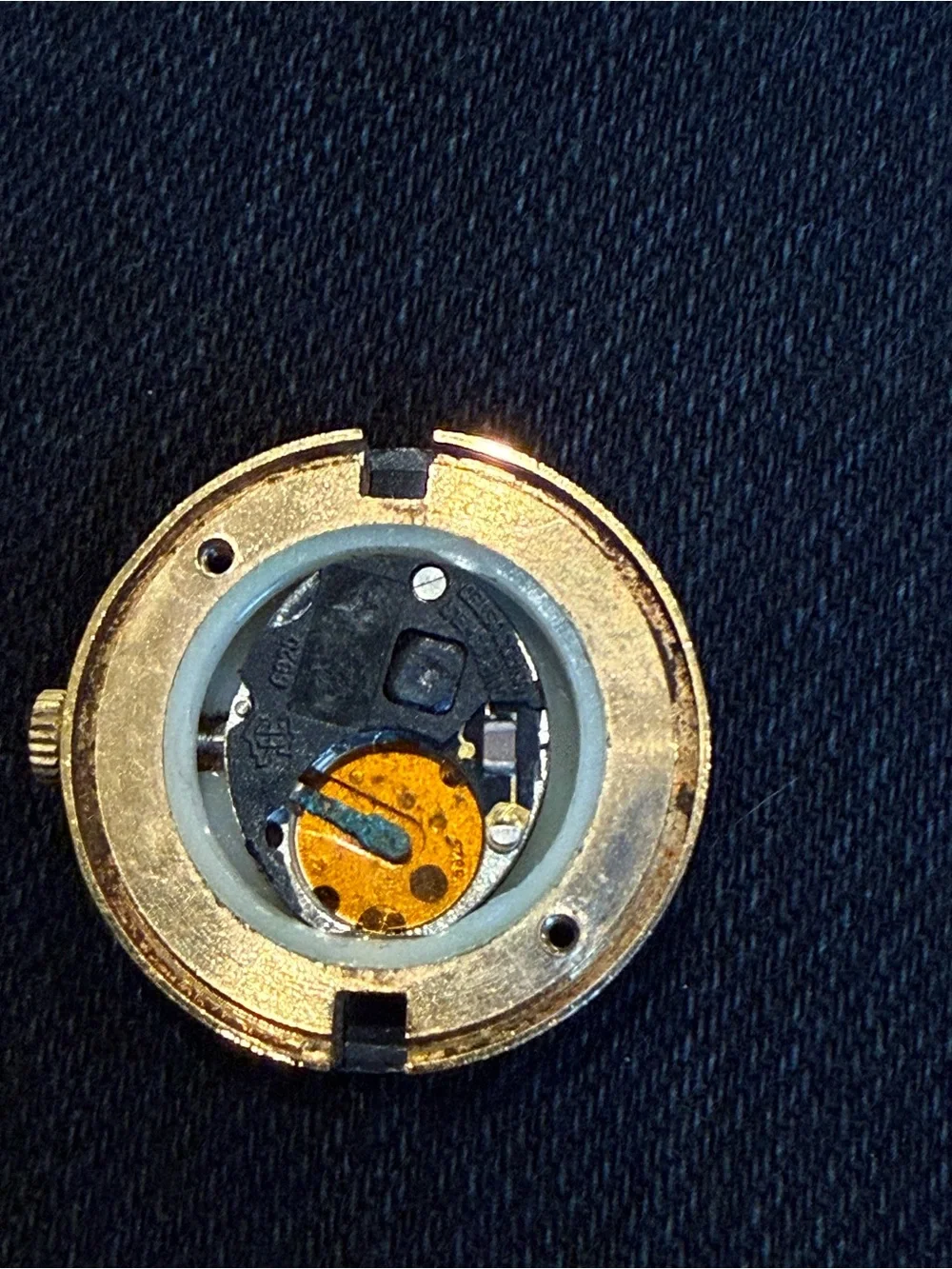 Gucci Made In Italy Bezel Watch with Black Gucci Bezel